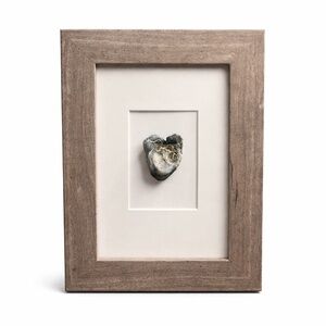 Framed Heart Shaped Shell Virginia Beach by Lucky Mischa NEW Wall or Table Art